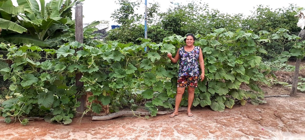 O sorriso no rosto da agricultora Maria Emília dos Santos Souza expressa a satisfação de ver o quintal verdinho e com muita diversidade de plantas e fala sobre as mudanças no acesso à água e na produção de alimentos agroecológicos realizados pelos Programas da ASA.